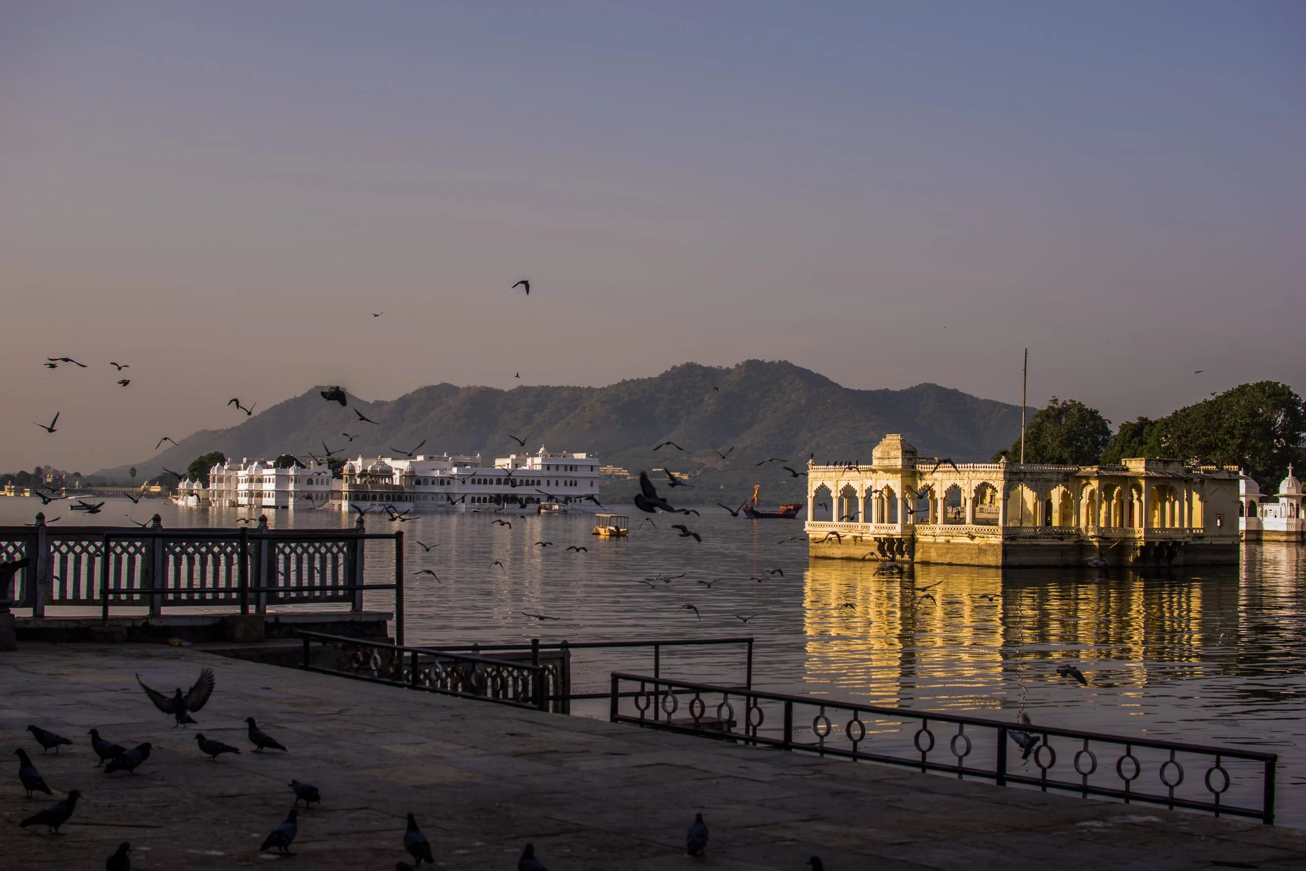 image_Wyndham Garden